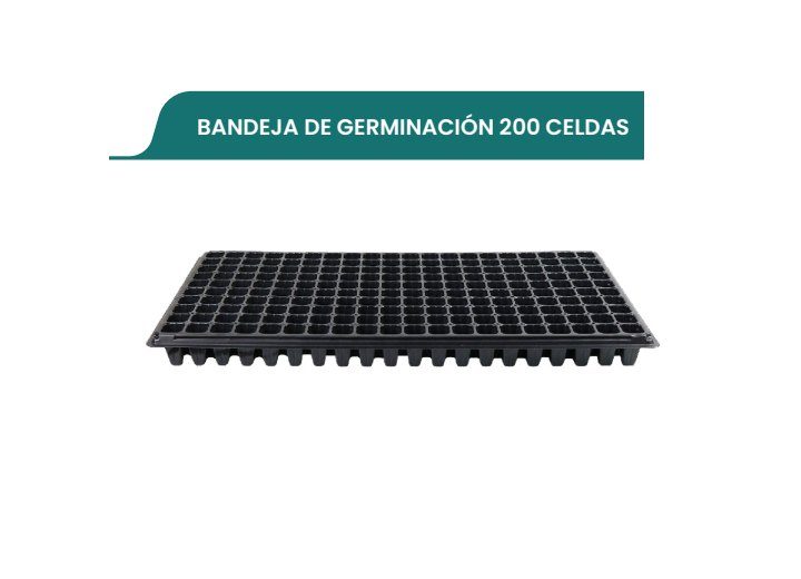 Bandeja De Germinación 162 Celdas