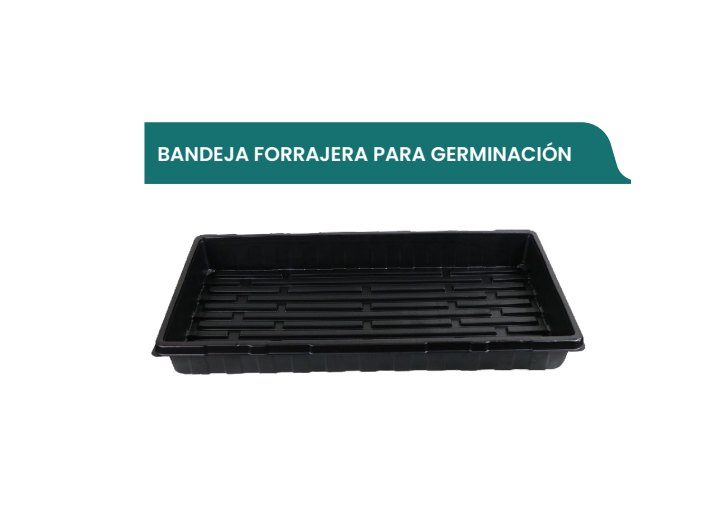 Bandeja De Germinación 512 Celdas